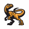 Raptors